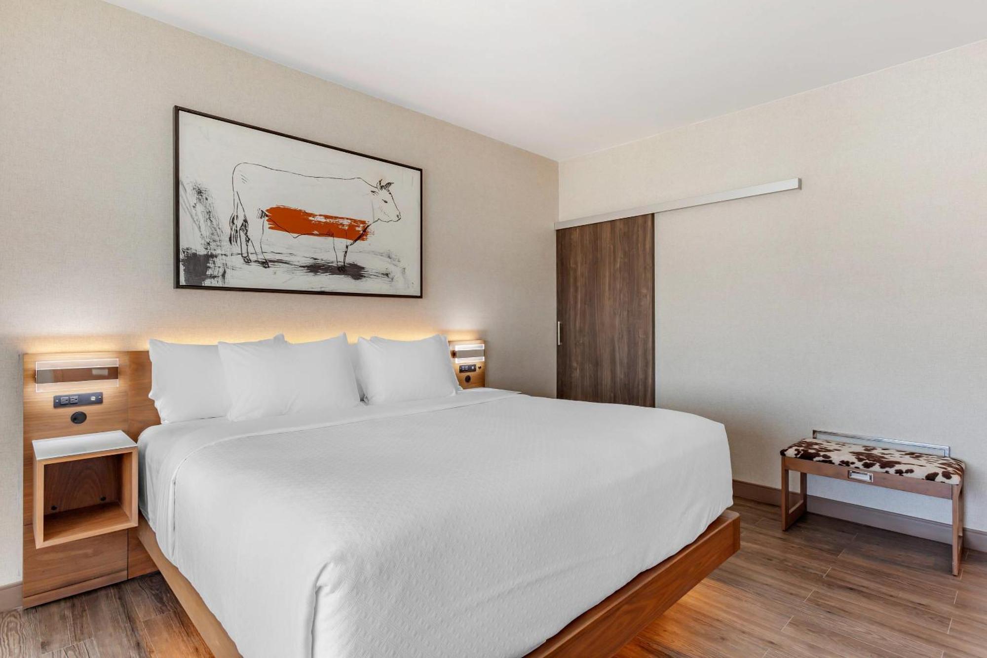 แคมเบรีย โฮเต็ล ริชาร์ดสัน - ดัลลัส Hotel ภายนอก รูปภาพ